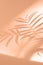 Botanical velvety gentle peach tone peach fuzz background