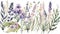 Botanical Watercolor Arrangements with Lavender Bouquets and Wildflowers