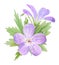 Botanical watercolor illustration of lilac geranium flowers isolated on white background. Perfect for web design, cosmetics design
