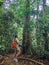 Botanist asian girl learning adventure outdoor activity with lifestyle in rainforest