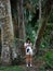 Botanist asian girl learning adventure outdoor activity with lifestyle in rainforest