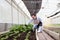 Botanist scientist man in lab coat holding tablet during working on experimental plant plots, male biological researcher checking