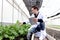 Botanist scientist man in lab coat holding tablet during working on experimental plant plots, male biological researcher checking