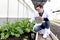 Botanist scientist man in lab coat holding tablet during working on experimental plant plots, male biological researcher checking