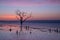 Botany Bay Beach at dawn