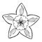 Botany flower icon, simple style