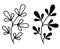 Botany. Vector drawing branches with leaves. Black outline and silhouette. Element for design and decoration, logo