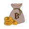 botcoin digital cash symbol in the bag