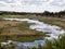 Boteti River, Makgadikgadi National Park, Botswana