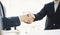 Both business people shake hands to celebrate financial success