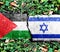 Both the Israeli flag and the Palestinian flag are made of crackled patterns