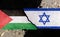 Both the Israeli flag and the Palestinian flag are made of crackled patterns