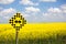 Both ways road sign in Canada, wih beautiful blossoming canola field in the background