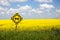 Both ways road sign in Canada, wih beautiful blossoming canola field in the background