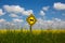 Both ways road sign in Canada, wih beautiful blossoming canola field in the background