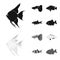 Botia, clown, piranha, cichlid, hummingbird, guppy,Fish set collection icons in black,monochrom style vector symbol