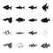 Botia, clown, piranha, cichlid, hummingbird, guppy,Fish set collection icons in black,monochrome style vector symbol