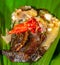 Botok lele, fried catfish served with spicy curry and wrapped with banana leaf.