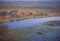 Botswana: Airshot from the Okavango-Delta swamps
