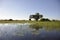 Botswana: Boattrip at sunset in the Okavango-Delta-swamps.