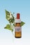 Bottle with Bach Flower Stock Remedy, Clematis (Clematis vitalba)