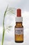 Bottle with Bach Flower Stock Remedy, Oat (Avena sativa)