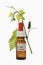 Bottle with Bach Flower Stock Remedy, Vine (Vitis vinifera)