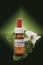 Bottle with Bach Flower Stock Remedy, Wild Rose (Rosa corymbifera), close-up