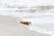 Bottle on beach sea and sky