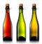Bottle of beer, cider or champagne isolated