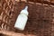 Bottle with breast milk for baby in straw basket.