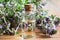 A bottle of Breckland thyme thymus serpyllum essential oil