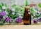 Bottle of burdock extract (oil, tincture, infusion)