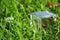 Bottle with coins stands on grass bench, transparent jar