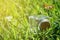 Bottle with coins stands on grass bench, transparent jar