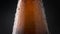 bottle of cold beer closeup and panorama