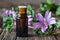 A bottle of common mallow essential oil with blooming malva sylvestris twigs