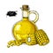 Bottle of corn cooking oil. Vector Hand drawn illustration. Glass pitcher with maize and seeds