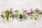 Bottle cosmetic skincare serum medical flowers herbs. alternative medicine. clover milfoil tansy rosebay