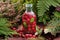 Bottle of cranberry tincture or infusion in forest outdoors.