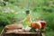 Bottle cup with a tube, filled with apple lemonade next to red apples on a stump