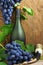 Bottle, drinking horn and bunch of grapes