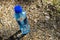 Bottle of drinking water in Norway forest bokeh background