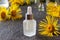 A bottle of elecampane essential oil and flowers