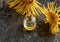 A bottle of elecampane essential oil with fresh Inula helenium plant