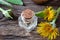 A bottle of elecampane essential oil and fresh plant