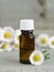 Bottle of essential chamomile oil (tincture)