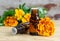 Bottle of essential marigold oil (Tagetes flowers extract, tincture, infusion)