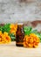 Bottle of essential marigold oil (Tagetes flowers extract, tincture, infusion)