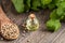 A bottle of essential oil with coriander seeds and cilantro leaves